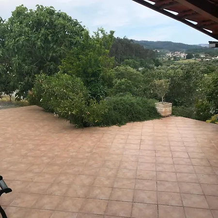 Alzaitoona Arrifana (Coimbra)