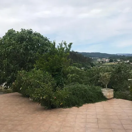 Alzaitoona * Arrifana (Coimbra)